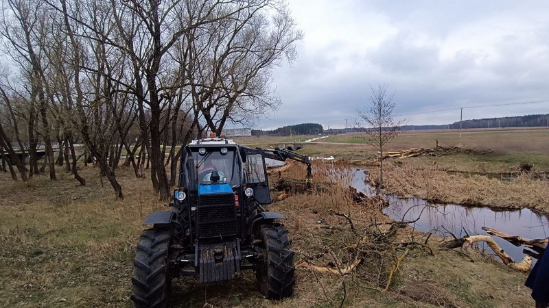 photo 2025 04 15 08 09 43