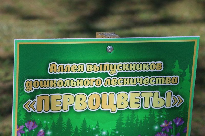 photo 2025 04 26 13 12 59