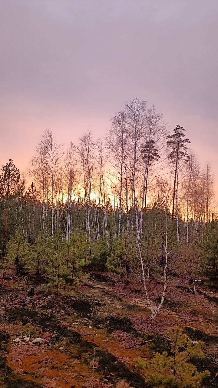 photo 2025 06 03 11 24 49