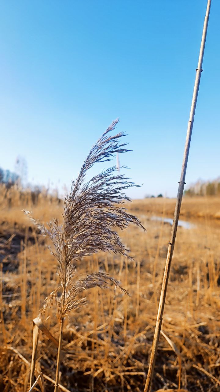 photo 2025 06 03 11 24 54