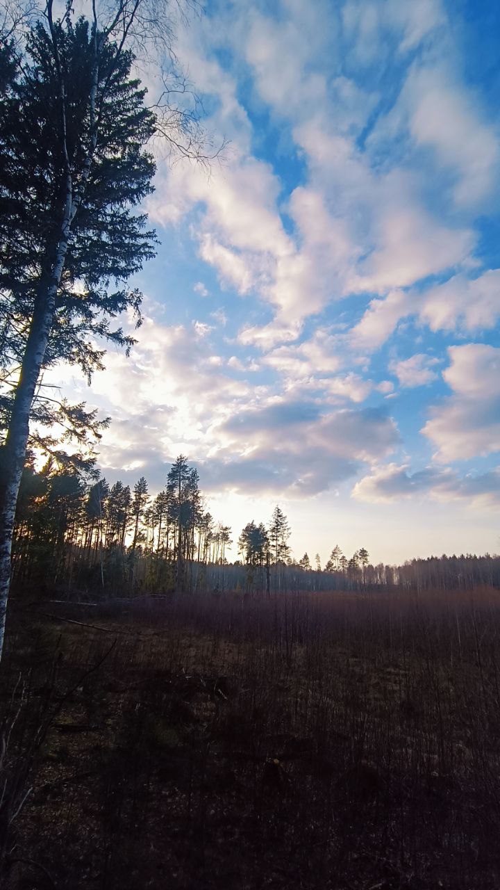 photo 2025 06 03 11 24 58