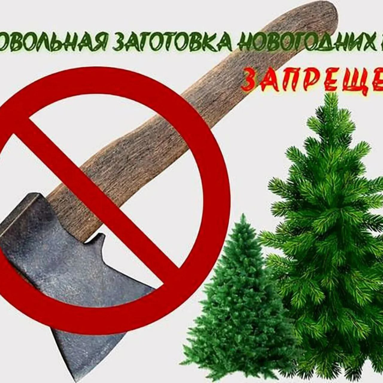 photo 2025 12 23 15 10 39