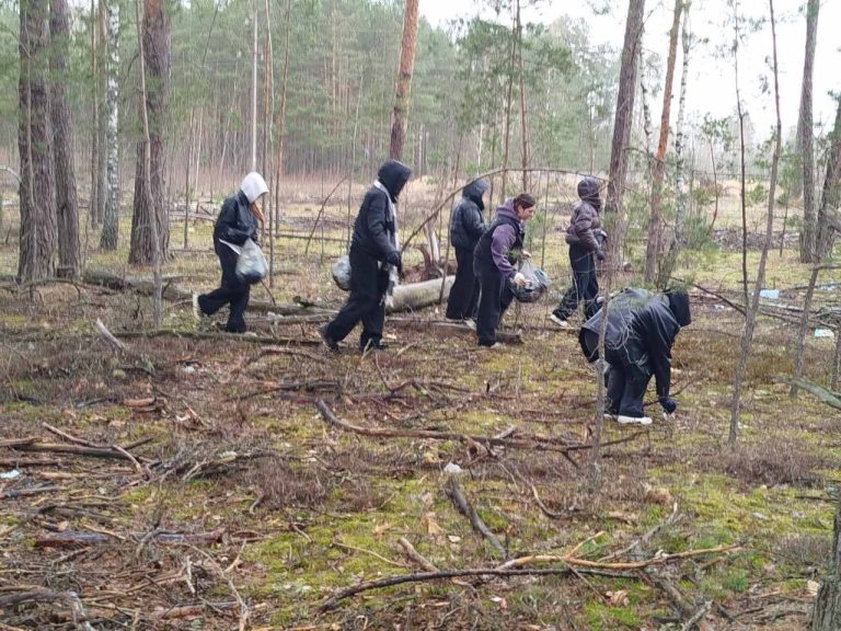 photo 2026 04 07 16 08 45 768x576